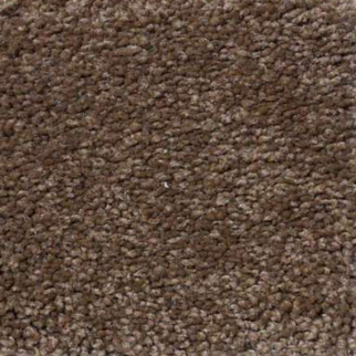 Shaw Floors Magic At Last I 15' Tree Moss SHAW