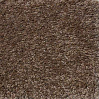 Shaw Floors Magic At Last II 15' Tree Moss SHAW