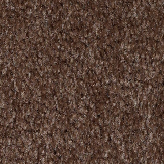 Shaw Floors XV071 Coffee Bean SHAW