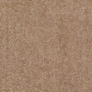 Shaw Floors Briceville Classic 12' Eagles Nest SHAW