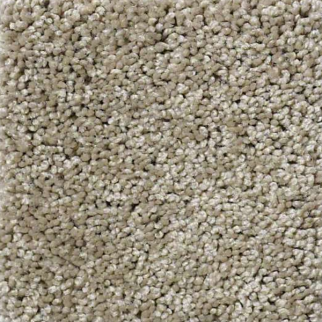 Shaw Floors Enduring Comfort II Smooth Slate SHAW