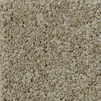 Shaw Floors My Choice III Smooth Slate SHAW