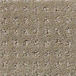 Shaw Floors My Choice Pattern Smooth Slate SHAW