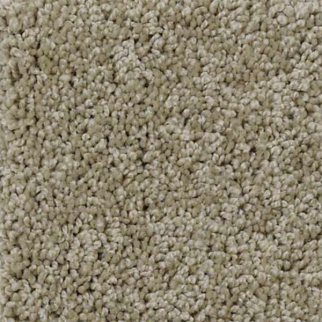 Shaw Floors My Choice I Smooth Slate SHAW