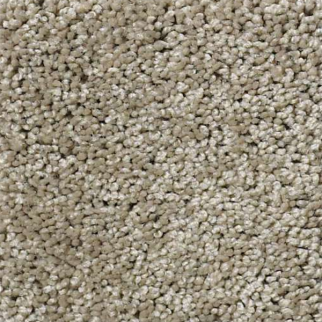 Shaw Floors My Choice II Smooth Slate SHAW