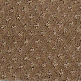 Shaw Floors Genesis Townhouse SHAW