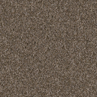 Shaw Floors Yes You Can II 15' Mission Ridge SHAW