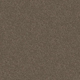 Shaw Floors Yes You Can III 15' Mission Ridge SHAW