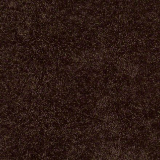 Shaw Floors Briceville Classic 12' Walnut SHAW