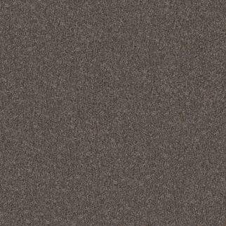 Shaw Floors Yes You Can III 15' Cafe Noir SHAW