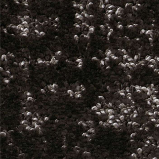 Shaw Floors Home Within Cafe Noir SHAW