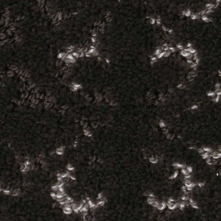 Shaw Floors Light Impressions Cafe Noir SHAW