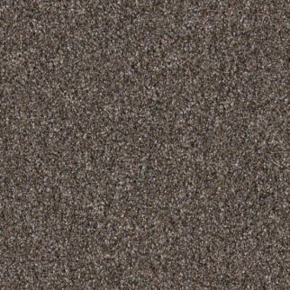 Shaw Floors Yes You Can II 15' Cafe Noir SHAW