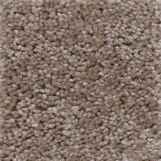 Shaw Floors Jet Set Portabello SHAW