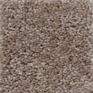 Shaw Floors Instant Winner Soft Suede SHAW