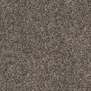 Shaw Floors Shake It Up (A) Tree Bark SHAW