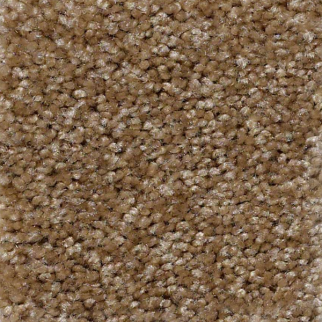 Shaw Floors Instant Winner Chino SHAW