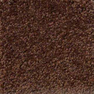 Shaw Floors Ultimate Expressions 12' Tortoise Shell SHAW