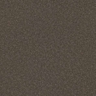 Shaw Floors Hard At Play I 15' Urban Rustic SHAW