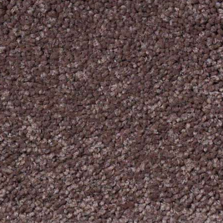 Shaw Floors Magic At Last I 12' Chinchilla SHAW