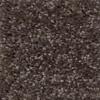 Shaw Floors Jet Set Kodiak Brown SHAW