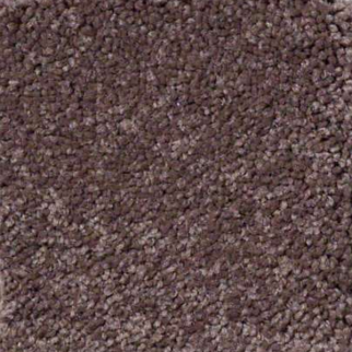 Shaw Floors Ultimate Expressions 12' Warm Oak SHAW