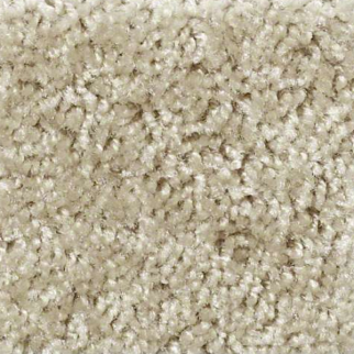 Shaw Floors Play Hard Barely There SHAW