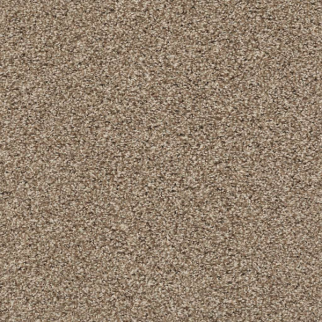 Shaw Floors Poised Brown Sugar SHAW