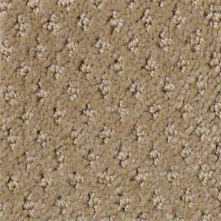 Shaw Floors Genesis Prairie SHAW