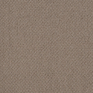 Shaw Floors Embellished Raw Wood SHAW