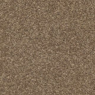 Shaw Floors Shake It Up (S) Beaver Creek SHAW