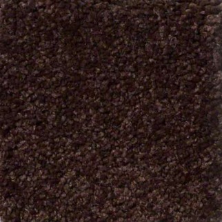 Shaw Floors Ultimate Expressions 12' Coffee Bean SHAW