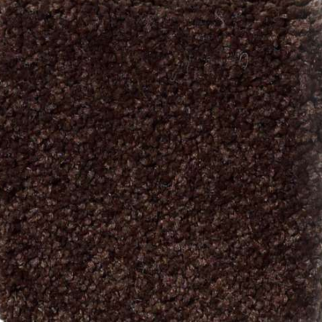 Shaw Floors Magic At Last III 12' Fudge Brownie SHAW