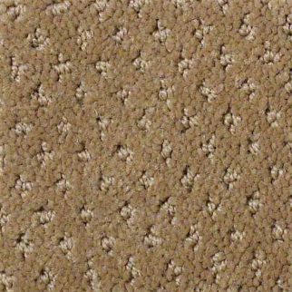 Shaw Floors Genesis Travertine SHAW