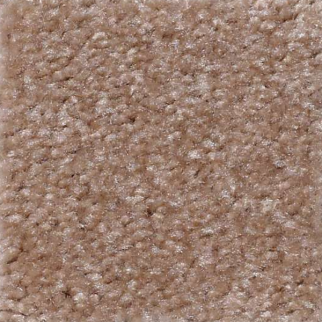 Shaw Floors Zipp Xanthia SHAW