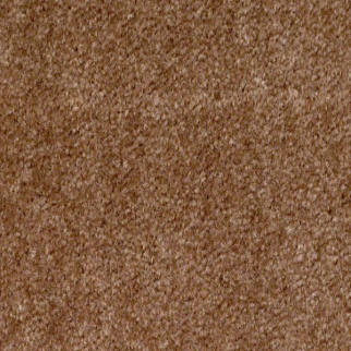 Shaw Floors XV071 Baked Apple SHAW