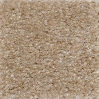 Shaw Floors Zipp Fox Fur SHAW