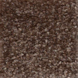 Shaw Floors Zipp Alton SHAW