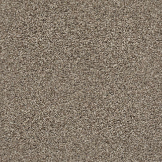 Shaw Floors Poised Chic Taupe SHAW