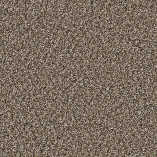 Shaw Floors Remixed Classic Dry Creek SHAW