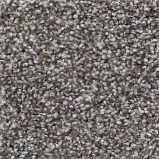 Shaw Floors You Know It Bear Mountain SHAW