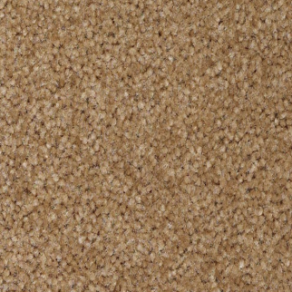 Shaw Floors XV071 Mink SHAW