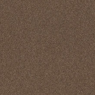 Tuftex Cozy Harbor I Raw Wood SHAW