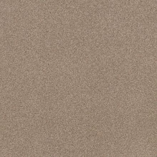 Tuftex Cozy Harbor I Natural Beauty SHAW