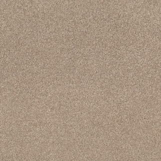 Tuftex Cozy Harbor II Natural Beauty SHAW