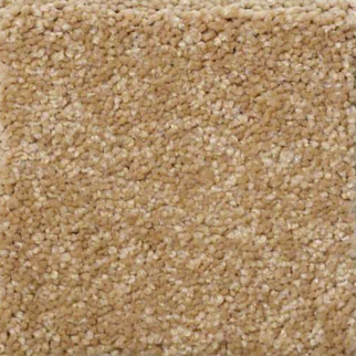 Shaw Floors Sandy Hollow Classic II Cork SHAW