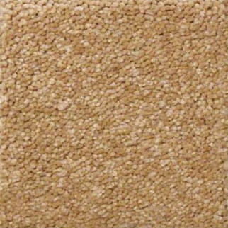 Shaw Floors Sandy Hollow Classic III Cork SHAW