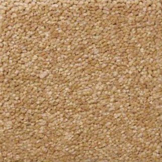 Shaw Floors Sandy Hollow Classic I Cork SHAW