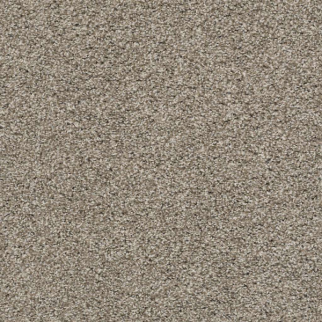 Shaw Floors Poised Studio Loft SHAW