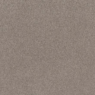 Tuftex Cozy Harbor I Stucco SHAW